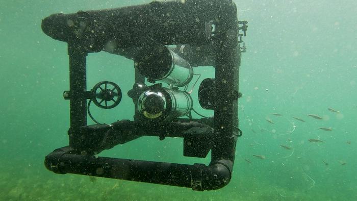 ROV under water with small fish