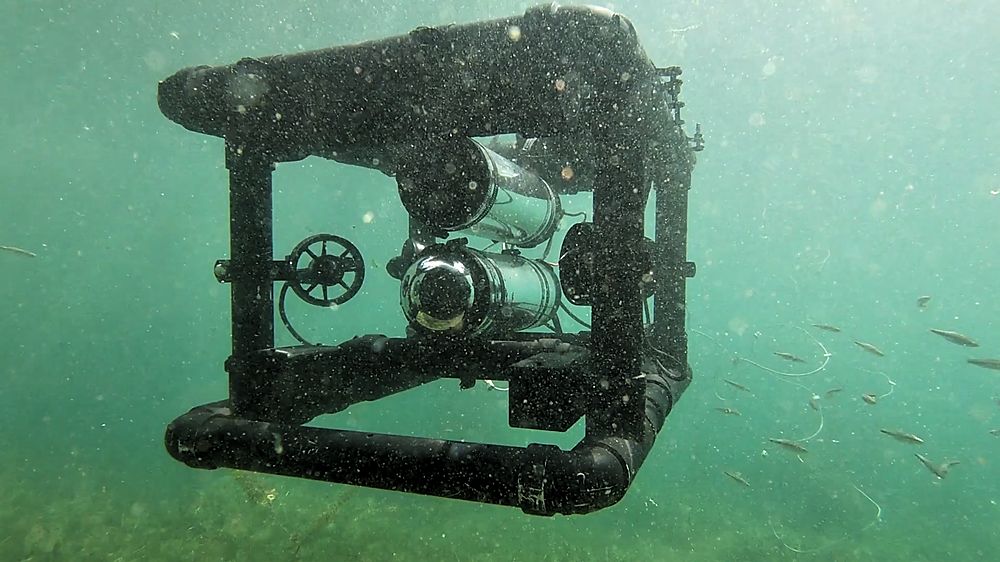 ROV with small fish