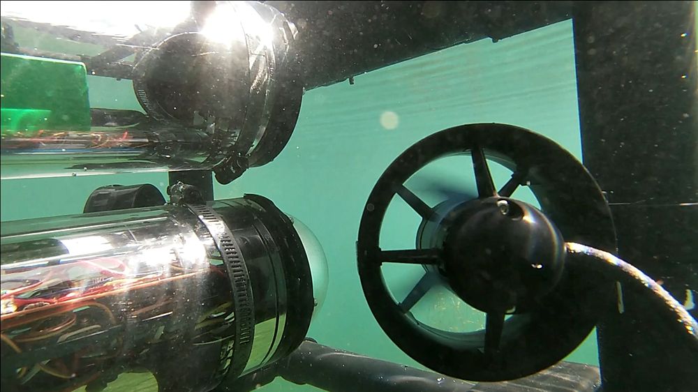 Underwater ROV shot.